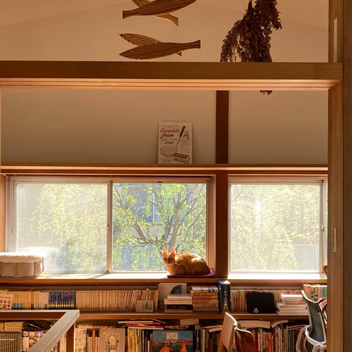 14e8c5ab cd8f 41bf 9987 1fce99fe97ff 1648856201670