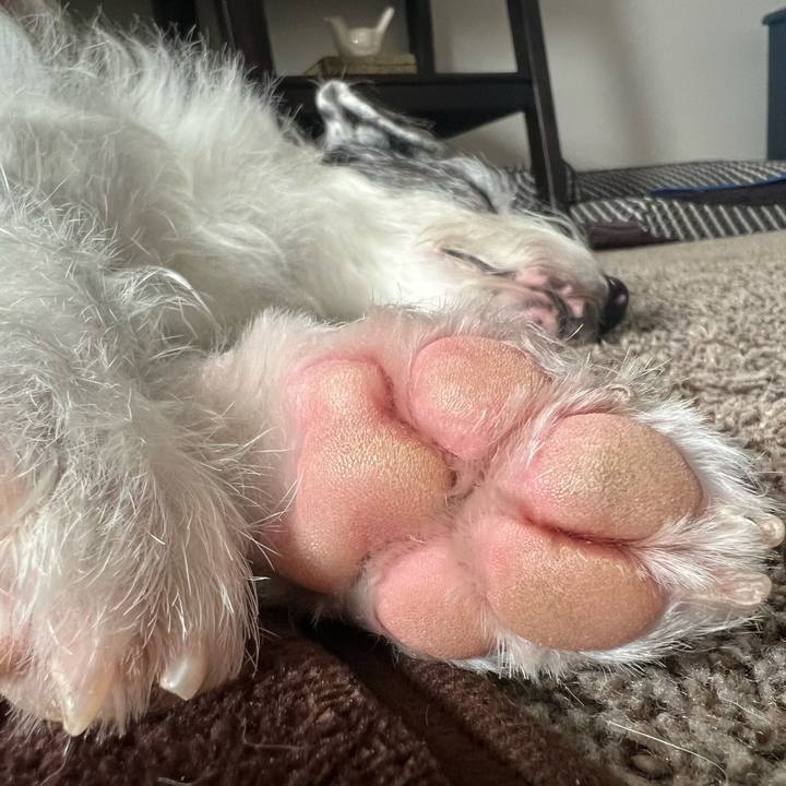 14e8cb9b ed9a 407f 9f70 d44c6fc59ed0 1679055658675