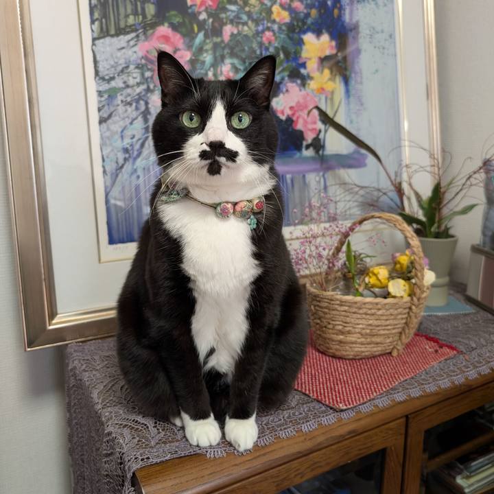 14e8d66d 4e1e 41fa 9166 8dd7136896e1 1767249770916