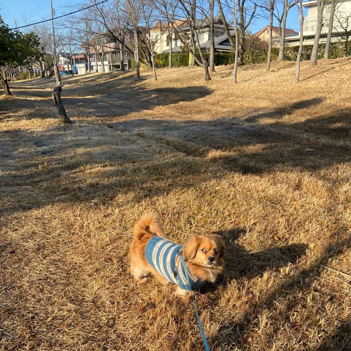 14e8ed46 88ce 4cfb 931b a71978ae0fd8 1581380405647