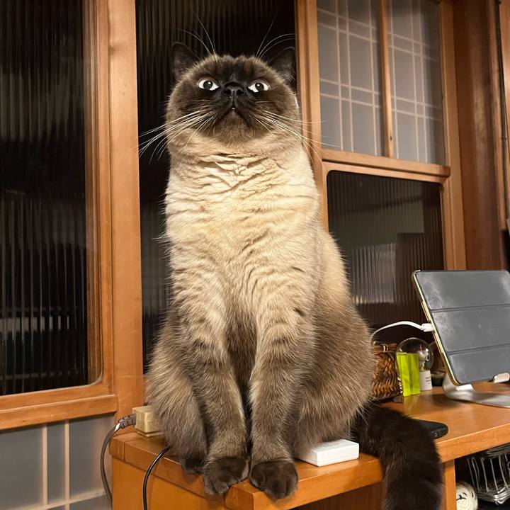 14e91d77 eabb 40b4 88f3 b8be145738c7 1641294614506