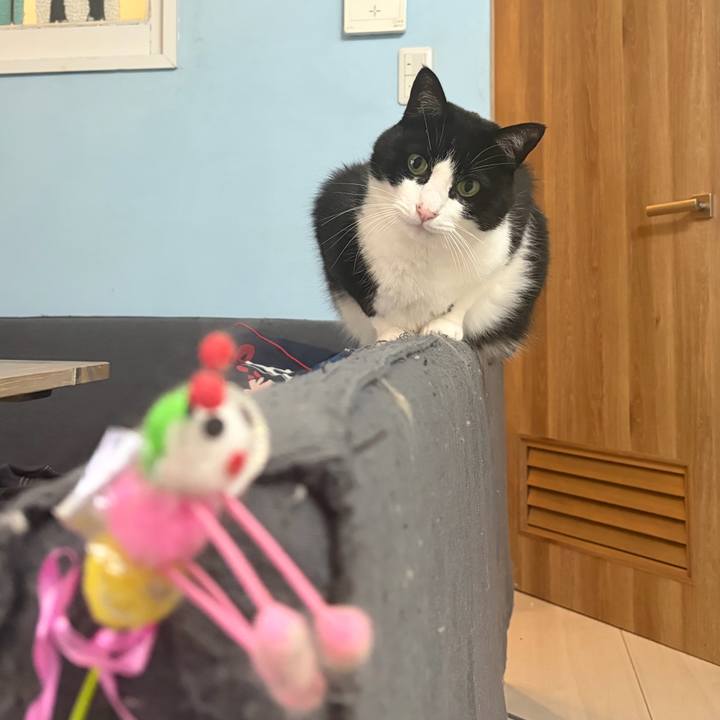 14e93409 8498 4fcf a319 fff45b270705 1776859976816