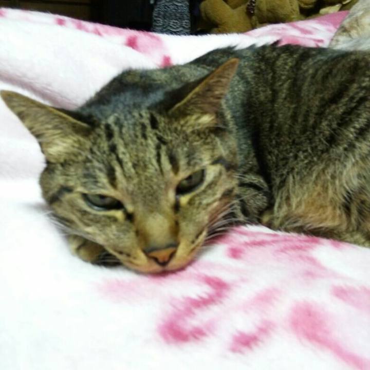 14e94a84 cc43 47c1 8da7 f7aad6c28113 1510716137795