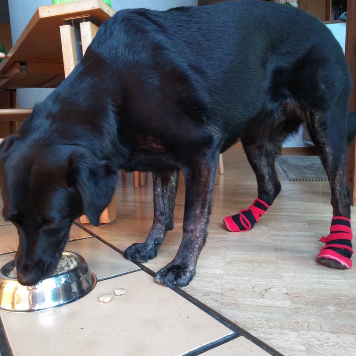 14e983c7 c44d 4fa9 87e1 79254220540b 1591740537889