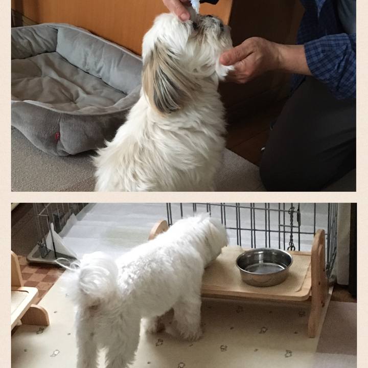 14e9a75d 4c95 4642 bc40 780df0ae066b 1590575550742