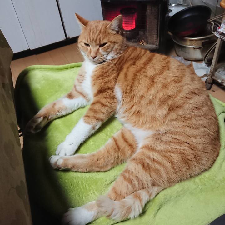 14e9c698 3943 4e6d ba91 f4e7c1e2ce45 1608367992842