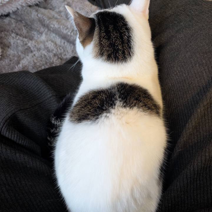 14e9edb3 a430 46a5 b9e5 7c65f0622ea7 1763377081569