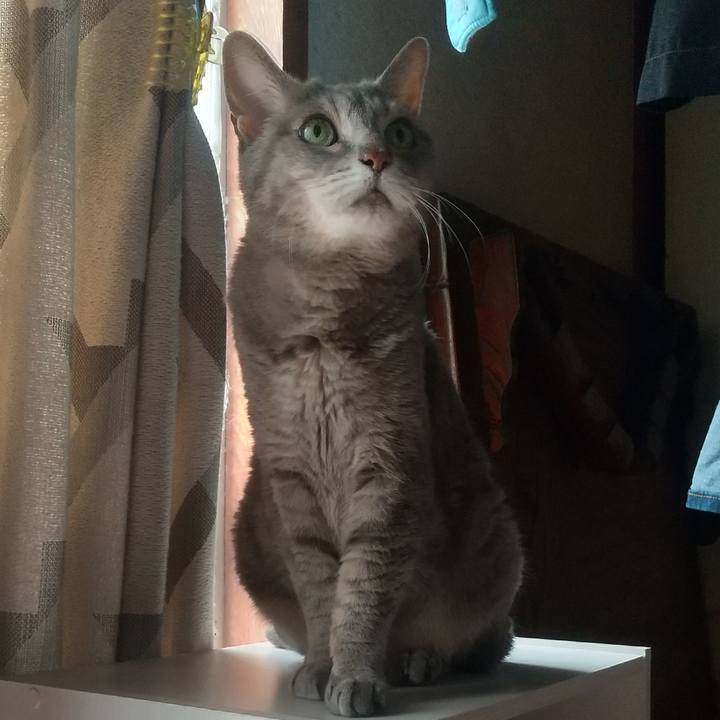 14ea0338 685a 44d6 b02c bf947ad7b6c5 1689383410144