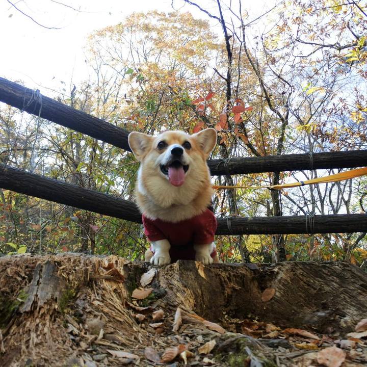 14ea1249 008f 4e7b 9589 d099edf98639 1668835947699