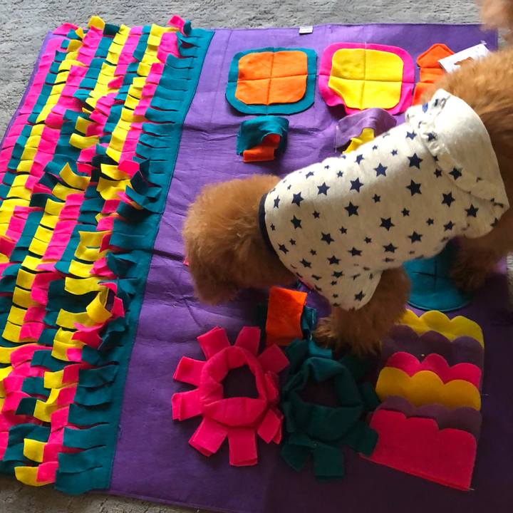 14ea6f78 c4b1 4a4b add2 22d0cb0eae0a 1590913948986