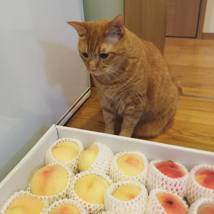 14ea95a6 80b5 486f a0ea 364e2062f451 1627481004636