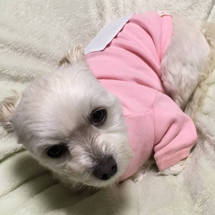 14eaa538 6785 480f 8587 a7666ebb09c4 1548935513369