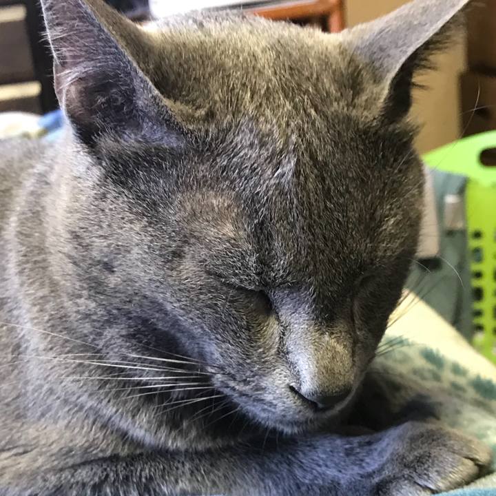 14eacbde 1340 4e5f b97c 7c0bc04ca463 1522195156862