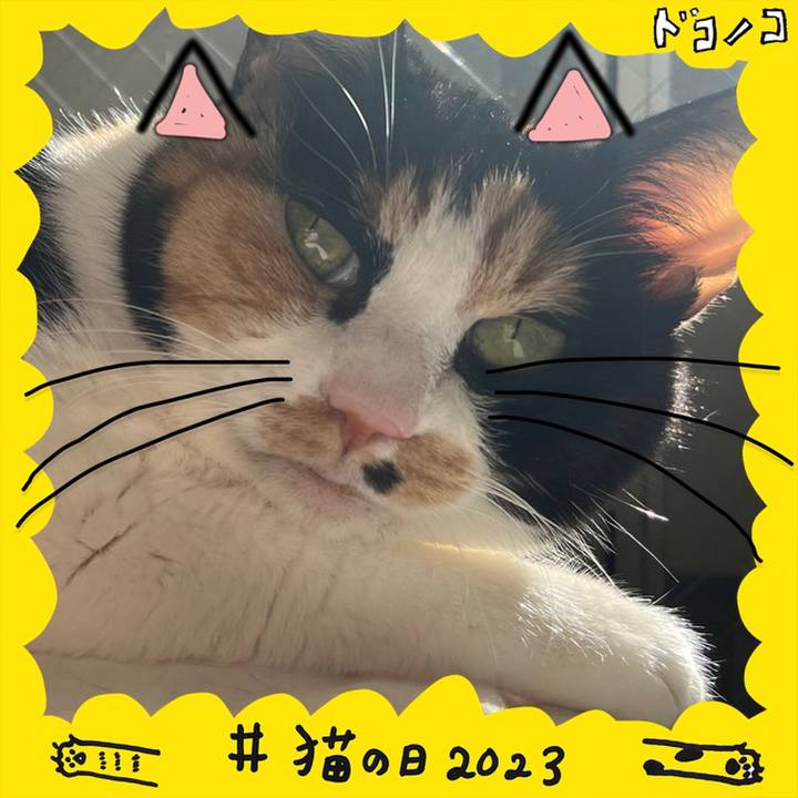 14eb1fa4 2f24 427b a1ee 8f1ff6edf63f 1677026827527