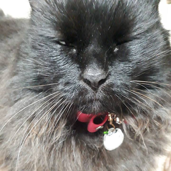 14eb4650 42d4 4c3e 82e4 1783e055a50d 1527338337807