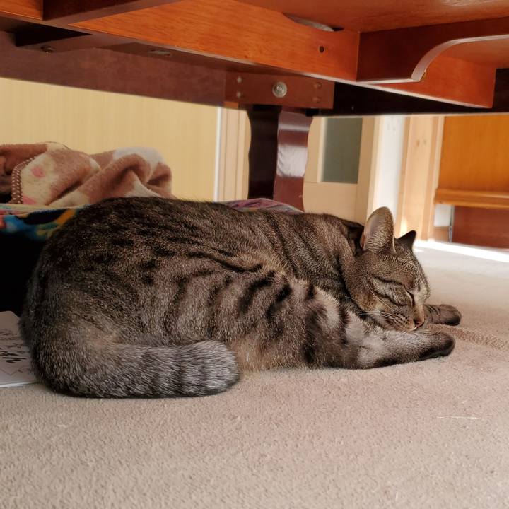 14eb5ce9 0234 481a 9951 349926e3441f 1707402464237