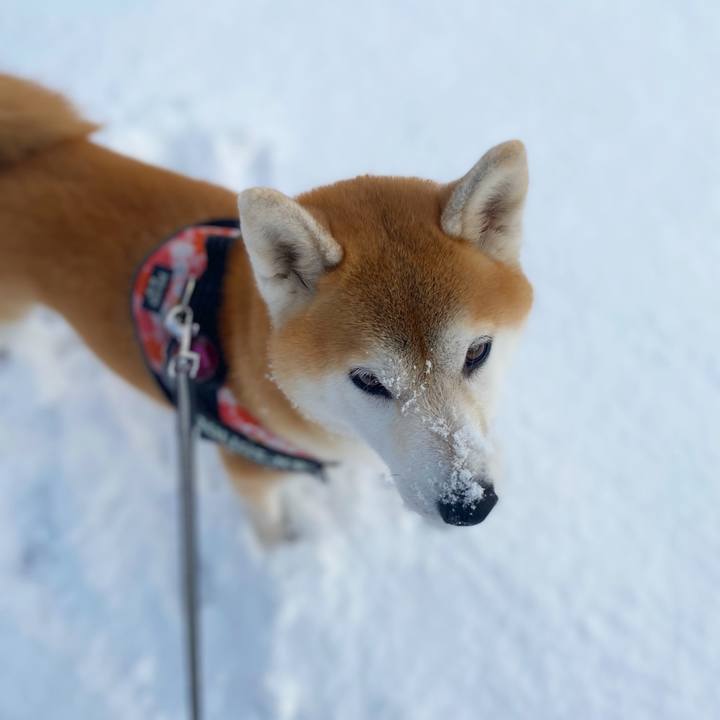 14eb652a f8c2 4528 88b0 b2ba85604cdc 1639356261803