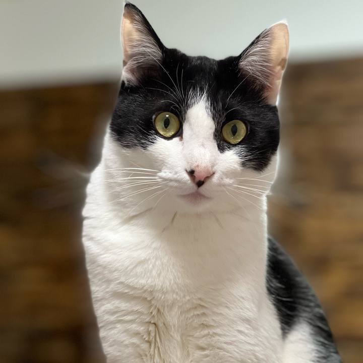 14eb7895 3931 4074 9e17 9f0a17880cb2 1652365372120