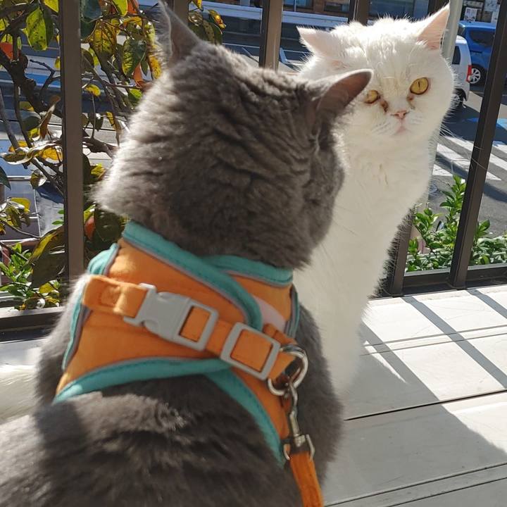 14eb9be6 310d 4c22 90e6 5f77b535527a 1763168373479