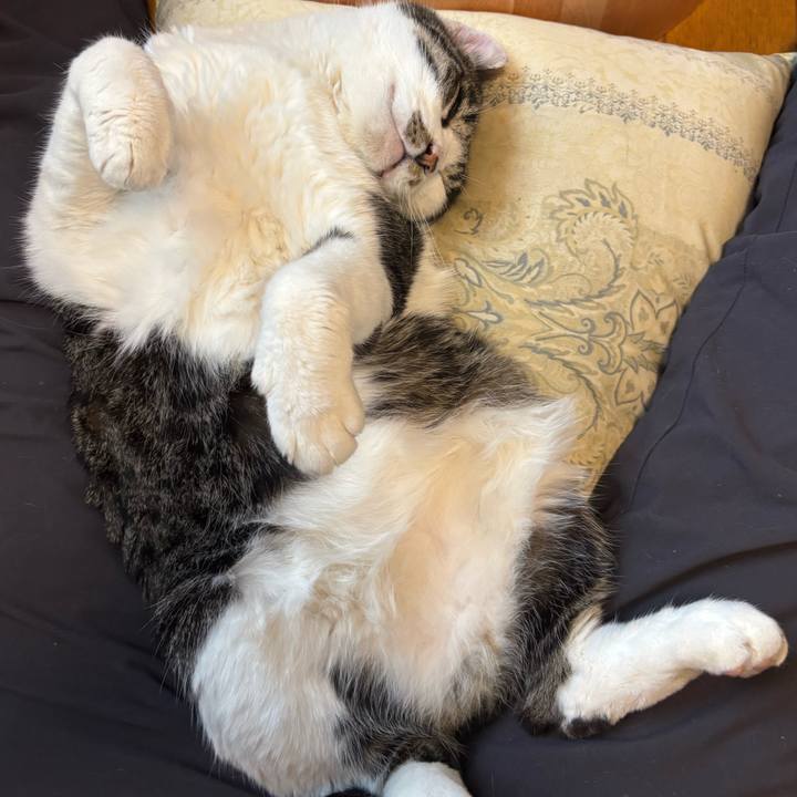 14eb9e5d 450c 47d6 af6d f27c19177b8e 1766819147141