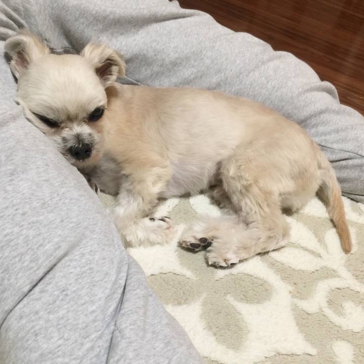 14ebaf91 bdc4 4871 b150 5df65f89603b 1546433671952