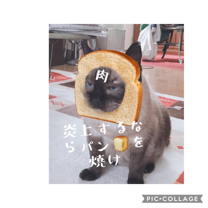 14ebc0a2 691b 4298 91cc 56c5fe10608c 1566719446755