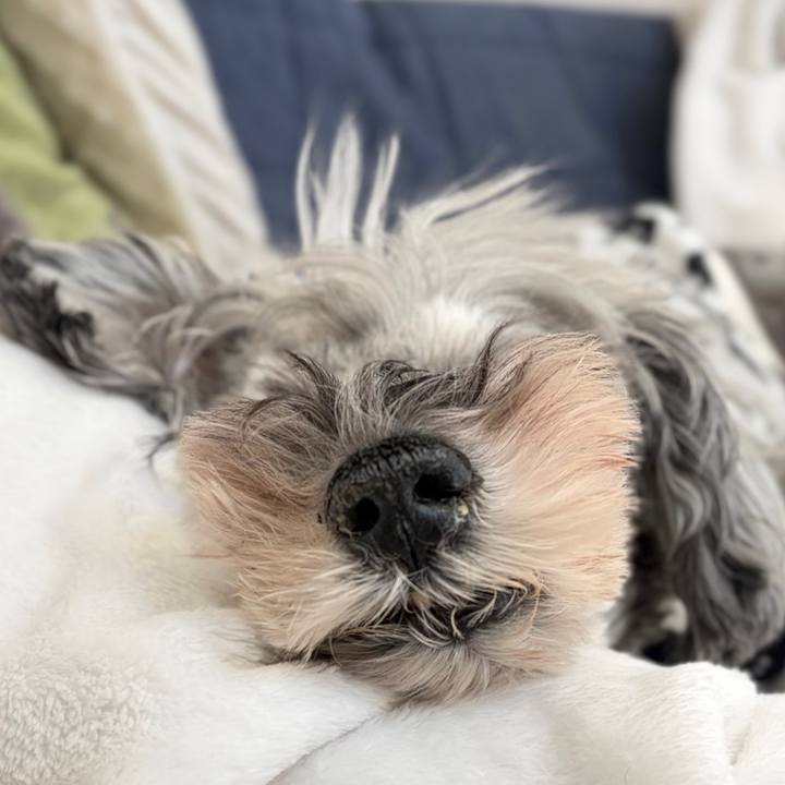 14ebd163 8bac 44dd 8af8 976577010473 1768107585465