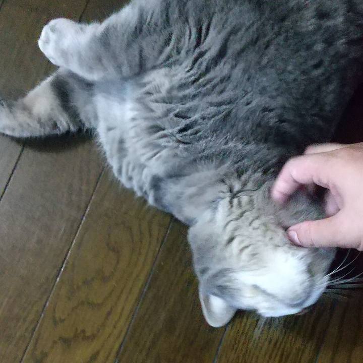 14ebdcc0 9041 4104 a9e3 03688587061a 1622720006715