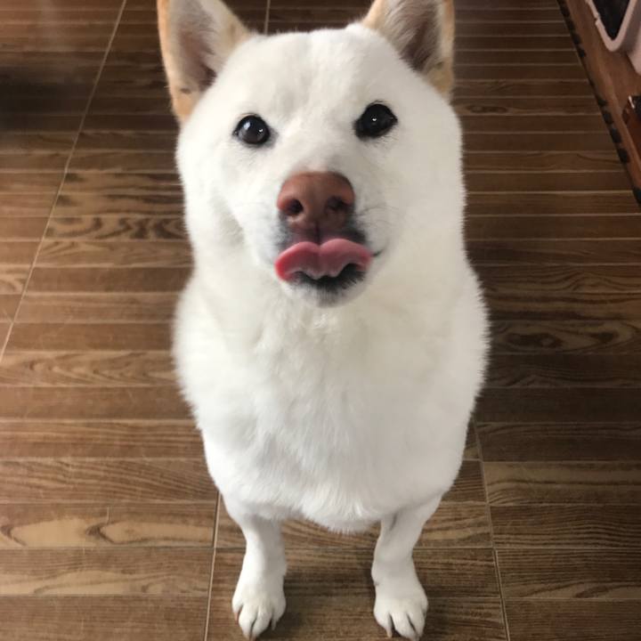 14ebeff2 d2ae 4889 846d 5ae228ffd272 1519256624743