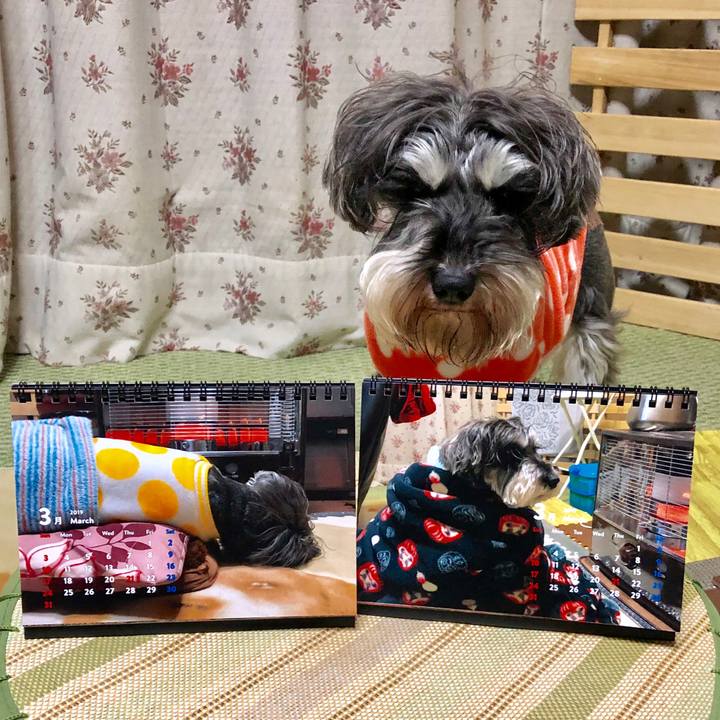 14ec0550 ad76 4a22 aea4 1a55f9b26c46 1551435423346