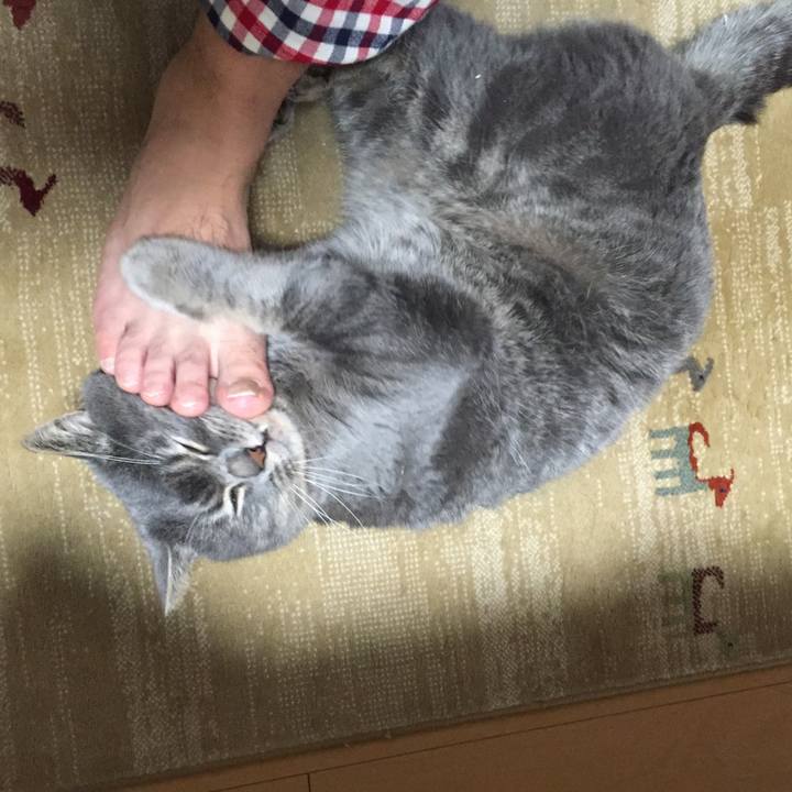 14ec2d47 1771 4c2d b196 89717a2a0e39 1548450428667