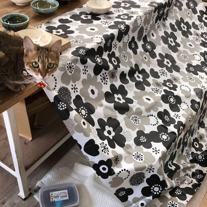 14ec2ff3 2dc1 42f4 b1a8 149384730504 1658374495596