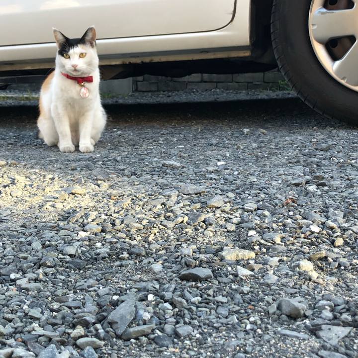 14eca7f5 602a 4b9b 9a51 9973e1d3fc82 1633472304813