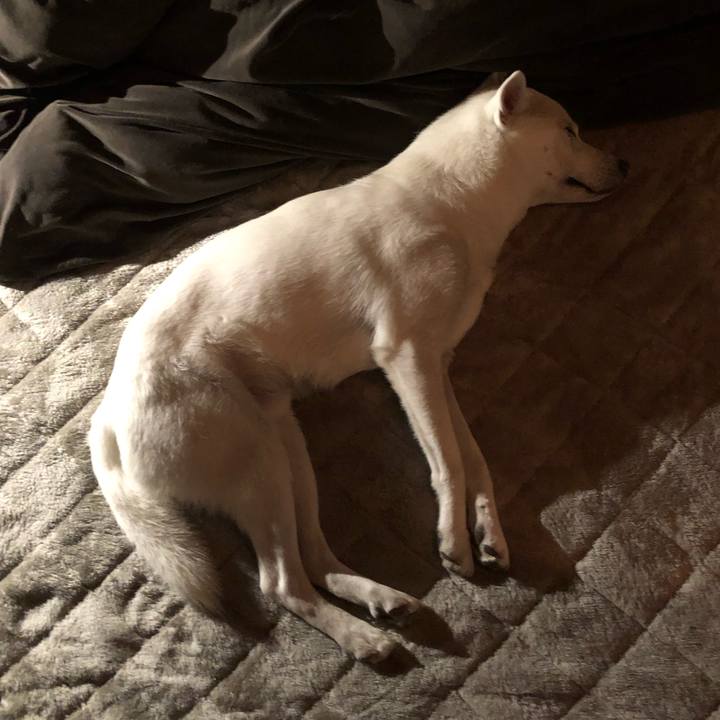 14eccd90 2b2c 44b4 ae57 c1e7c19bfb22 1551801676600