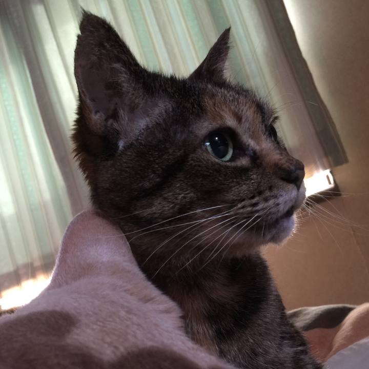 14ece7b7 e95c 48a7 a153 448221c30fce 1547515761967