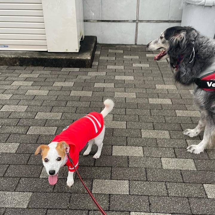 14ed0c1b 60ff 4889 9448 8c3df05886fa 1658237396583