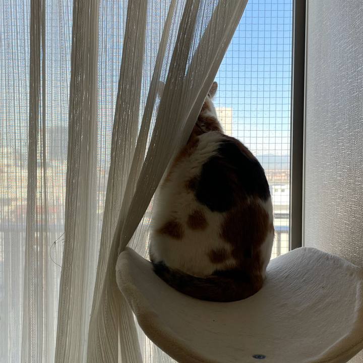 14ed0e5b c701 488c 8c0d 64531735d149 1612928918978