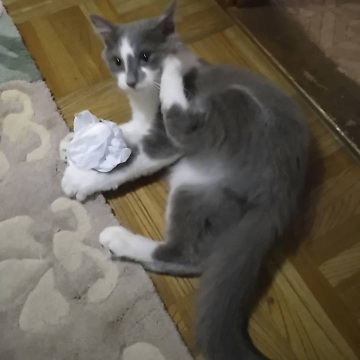 14ed141b 90a7 4f0e 92b6 9878fb197084 1565648939639