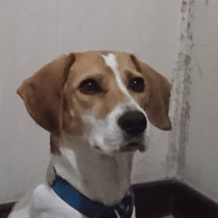 14ed2ecb c376 4bc0 b6c5 9394466eef9b 1572427159426