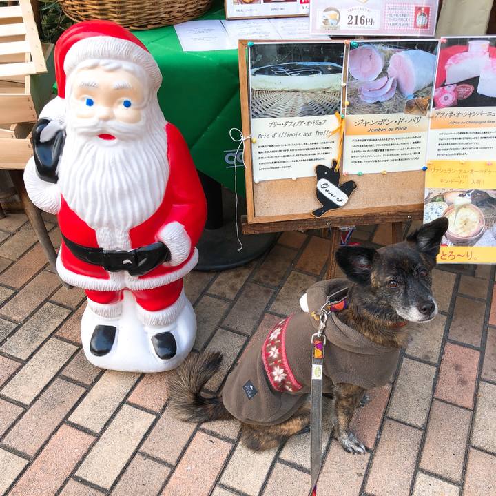 14ed8358 ddc3 4ee3 b3d1 401db555eaf1 1575813331443