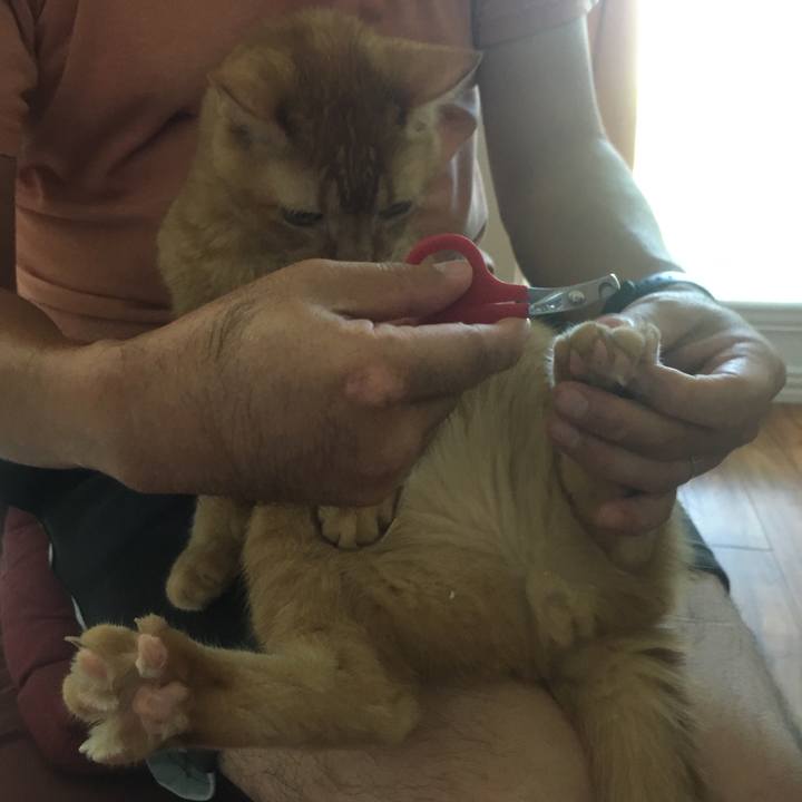 14ed86db eb23 4206 8da8 cb089e40903e 1660693311327