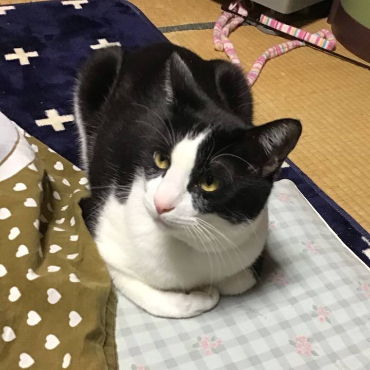 14ed8c43 a193 462f b6f0 ab1db334eb32 1708428616659