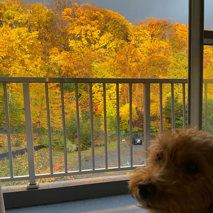 14ede57a 7451 46f9 8875 6af0bf10b665 1698876993143