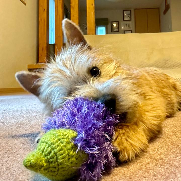 14ede598 e0e3 4a0f 81aa 25c3ca29971d 1707079674876