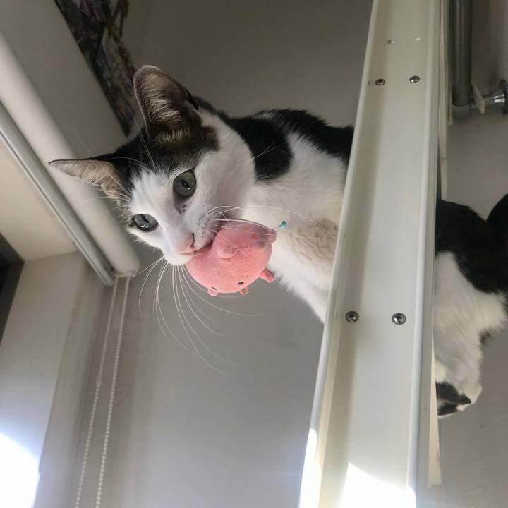 14edfa6c 69d1 4db5 b0f5 7245743b7de8 1608217268923