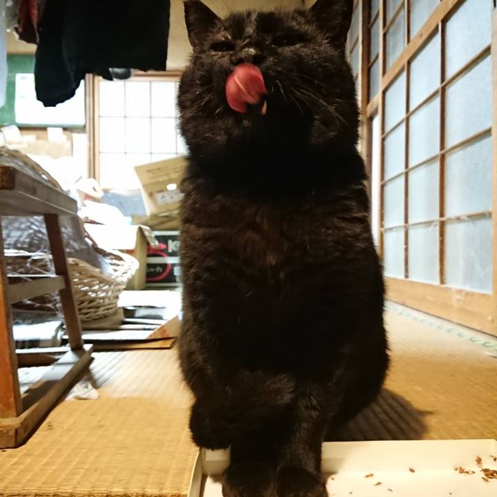 14ee05f4 e927 40c5 94a8 635049670b45 1617290231662