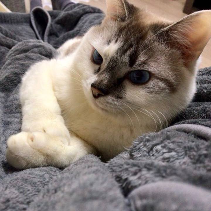 14ee46c2 01b8 465a b215 df1a87f321c5 1550703244841