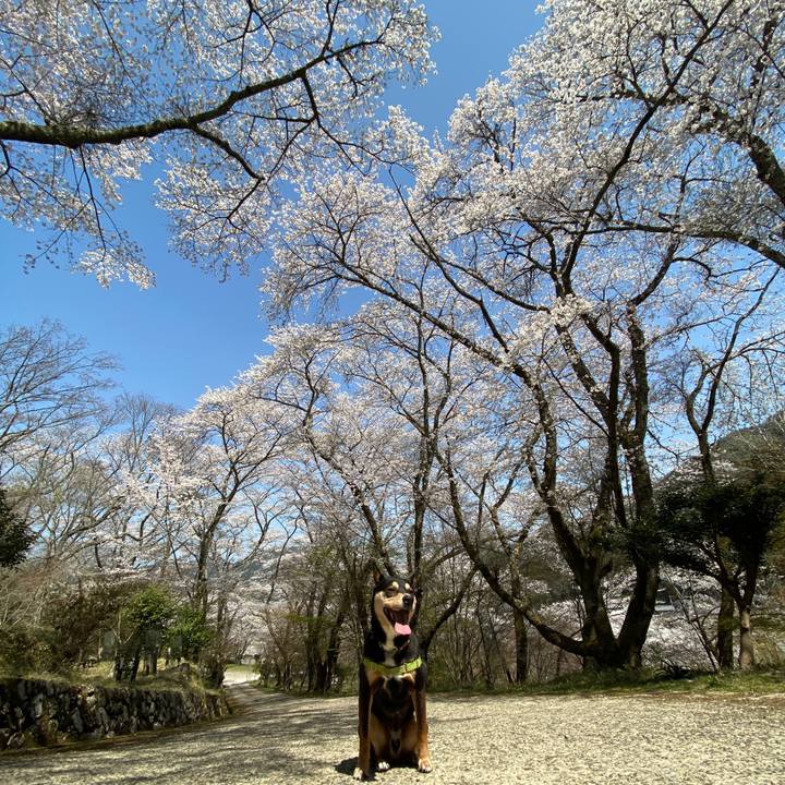 14ee544b ee7d 44f0 8b63 a1a8286de16c 1649235099060