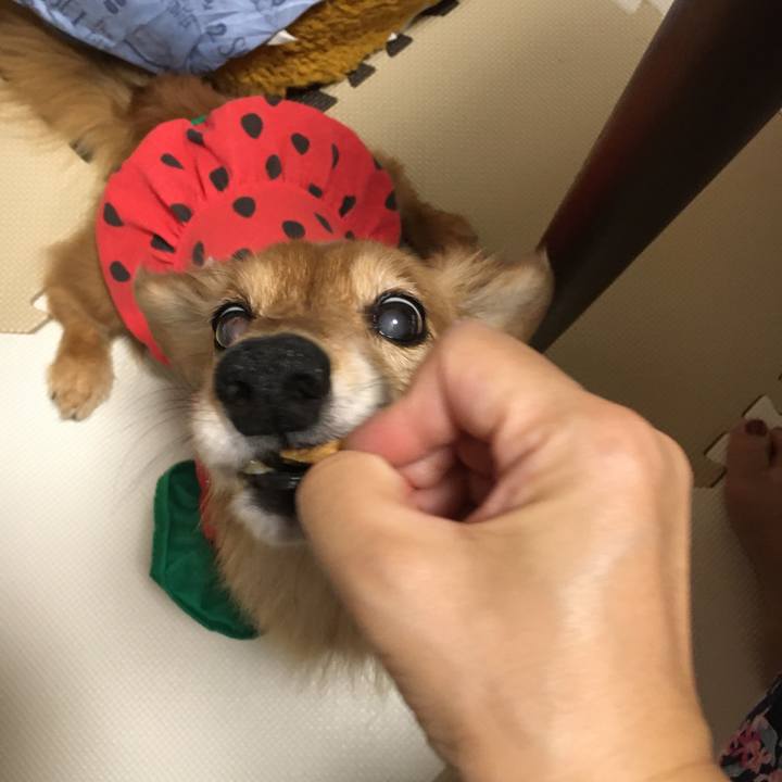 14ee5f18 4ce7 48ca 9dc7 a59c1e8f49b0 1631267104574