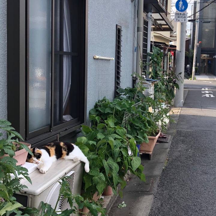 14ee6136 21db 4d0c 901b 23f06be889b9 1530109858861